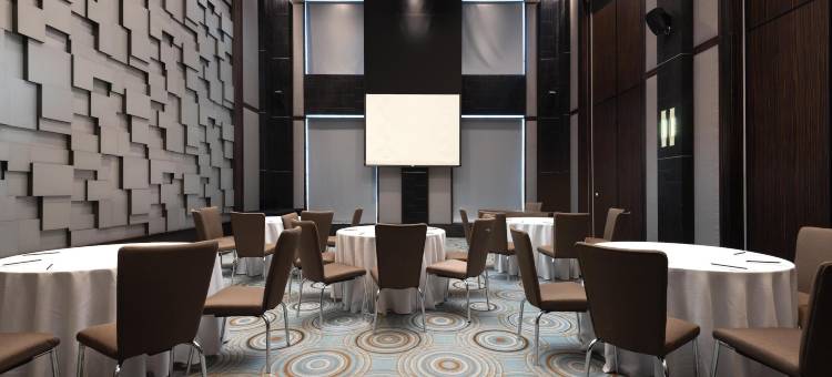 迪拜媒体城丽笙酒店(Radisson Blu Hotel, Dubai Media City)图片