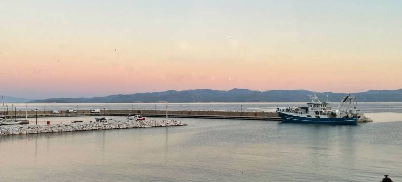 德尔菲尼亚开间(Delfinia Studios)图片