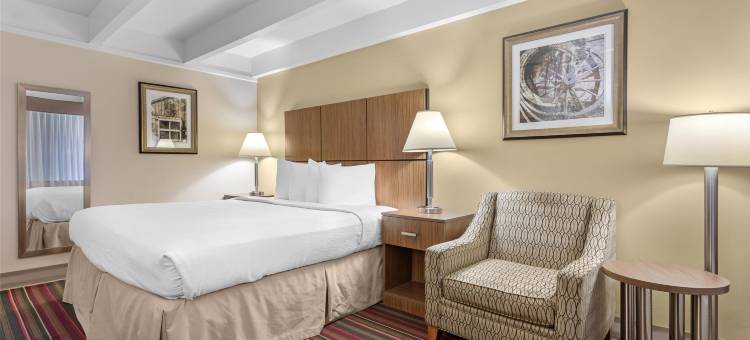 牧场宫殿贝斯特韦斯特酒店(Best Western El Rancho Palacio)图片