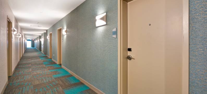 希尔顿旗下Home2 Suites-购物中心(Home2 Suites by Hilton Houston Near the Galleria)图片