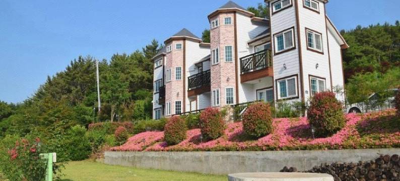 贝尔扎里旅馆(Beljari Pension)图片