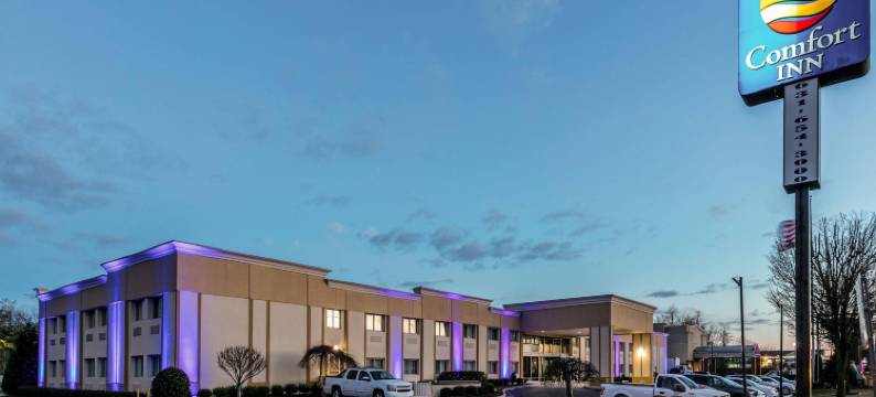 梅德福长岛舒适酒店(Comfort Inn Medford-Long Island)图片