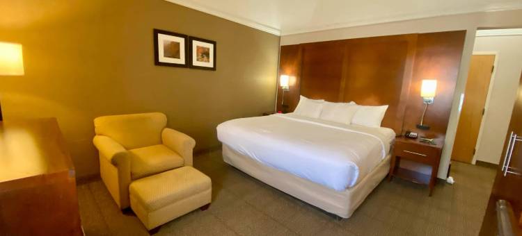 舒适酒店拉特兰 - 基灵顿(Comfort Inn Rutland - Killington)图片