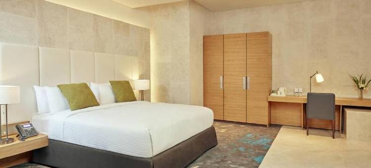 阿罗特尔马斯喀特酒店-机场中转(Aerotel Muscat - Airport Transit Hotel)图片