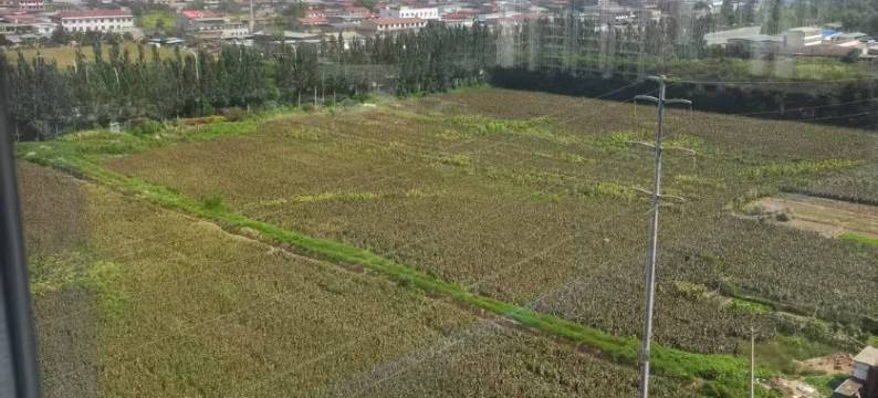 六六公寓(迎宾西街分店)图片