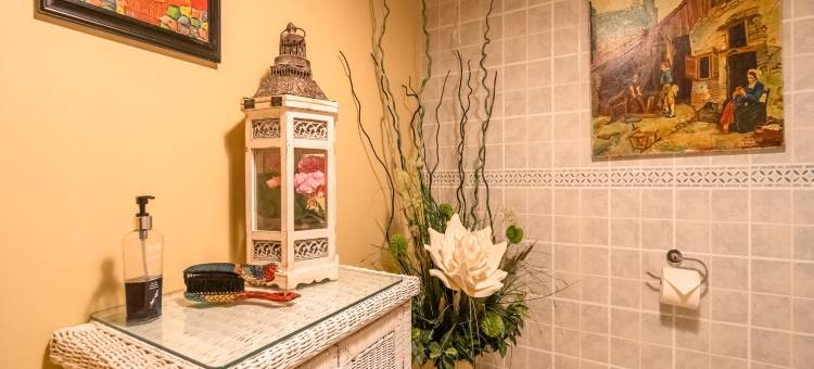Villa in Limoux with Private Pool & Mountain Views图片
