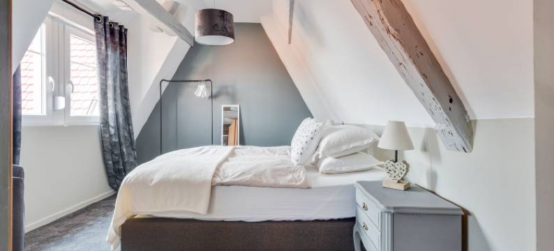 Apartment in Alsace near Haut-Koenigsbourg图片