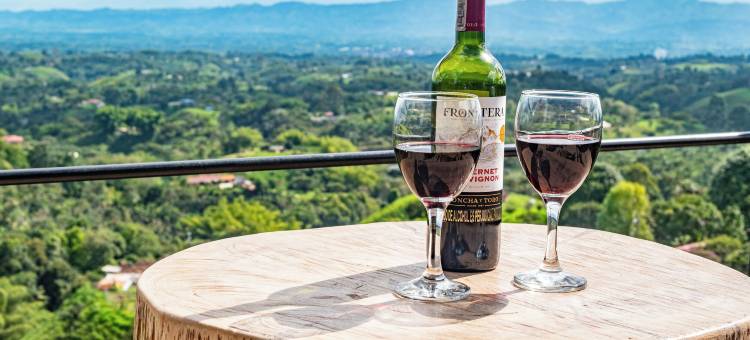 菲兰迪亚小屋(La Casita Filandia)图片