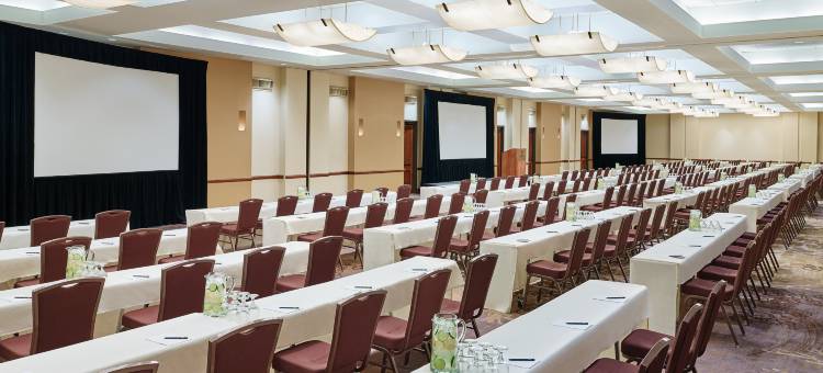 圣安东尼奥机场希尔顿逸林酒店(DoubleTree by Hilton San Antonio Airport)图片