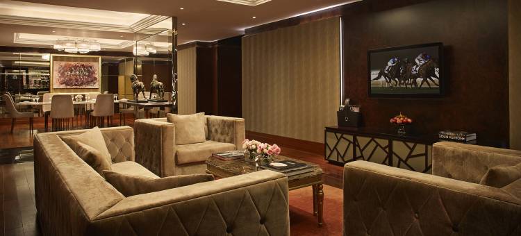 美伊丹酒店(The Meydan Hotel)图片
