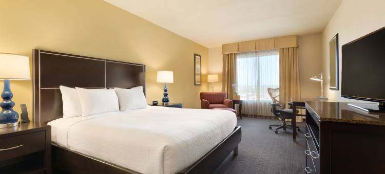 美国休斯顿西北广场希尔顿花园酒店(Hilton Garden Inn Houston NW America Plaza)图片