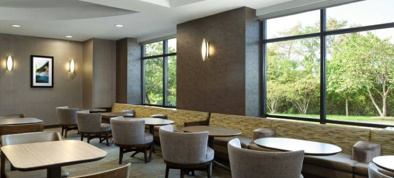 杜勒斯机场 SpringHill Suites 万豪酒店(SpringHill Suites Dulles Airport)图片