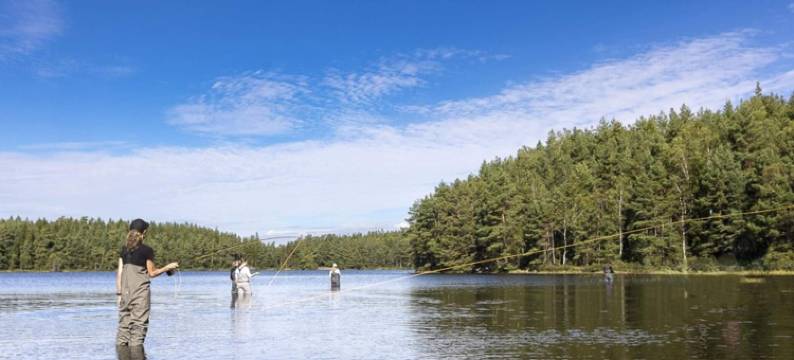 位于加尔德松湖利德舍贝里的舒适小屋(Cozy Cabin by Lake Gardsjon Lidsjoberg)图片