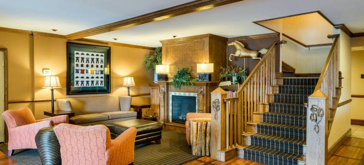 舒适套房酒店(Comfort Inn & Suites)图片