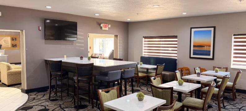 舒适套房酒店-李维斯维尔(Comfort Suites Lewisville)图片