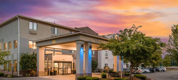 奥本希尔斯舒适套房酒店(Comfort Suites Auburn Hills-Detroit)图片