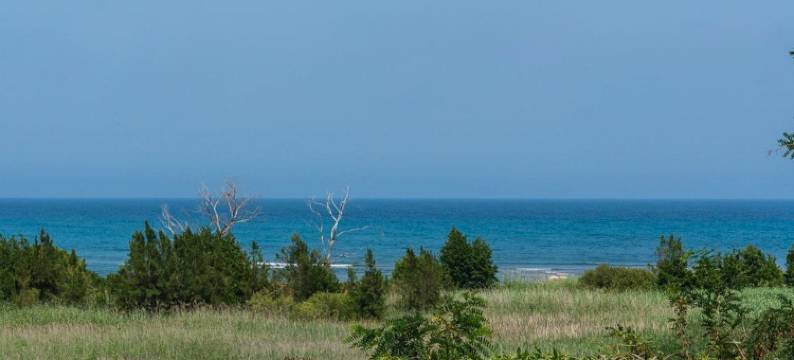 索伦扎拉酒店(La Solenzara hôtel)图片