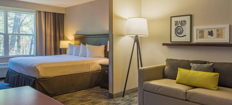 丽笙乡村套房酒店-弗吉尼亚州道斯威尔-国王领地(Country Inn & Suites by Radisson, Doswell (Kings Dominion), VA)图片