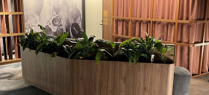 格拉德斯通派珀斯酒店(Peppers Gladstone)图片