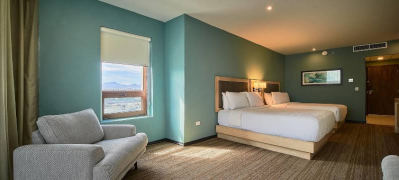 温德姆花园索尔蒂约(Wyndham Garden Saltillo)图片