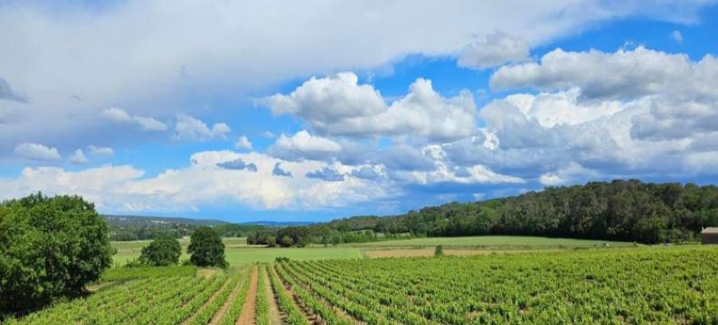 Apartment with swimming pool, wifi图片