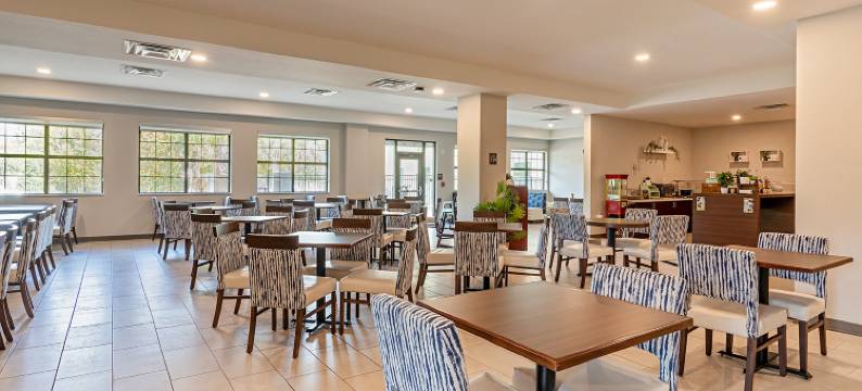 奥兰多布纳维斯塔湖佩斯塔纳套房酒店(Pestana Orlando Suites - Lake Buena Vista)图片