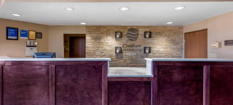 舒适套房酒店(Comfort Inn & Suites)图片