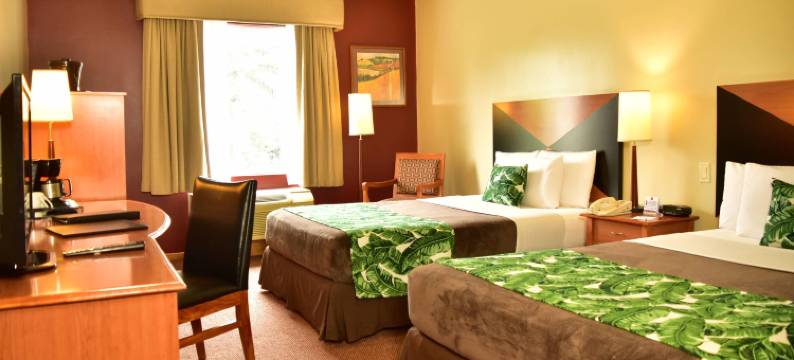 安眠酒店-圣何塞帕塞欧拉斯达马斯(Sleep Inn Hotel Paseo Las Damas)图片