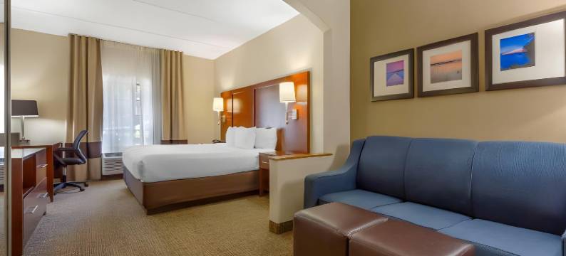 摄政公园舒适套房酒店(Comfort Suites Regency Park)图片