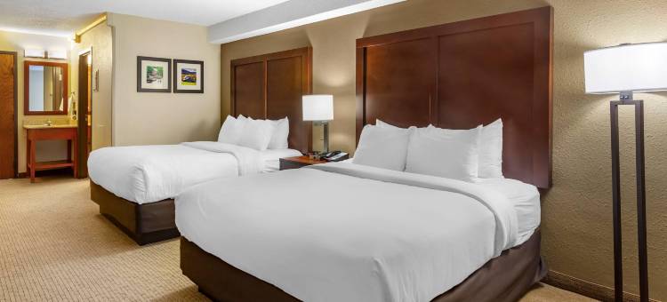 舒适套房酒店-近丹维尔购物中心(Comfort Inn & Suites Near Danville Mall)图片