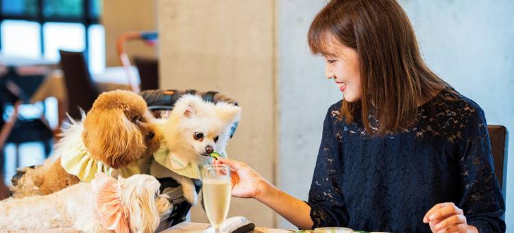 别府丘湾宠物度假村(Beppu Dog Resort Hills & Bay)图片