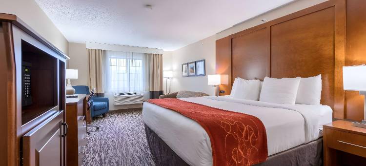 埃弗格林百汇金西舒适套房酒店(Comfort Suites Golden West on Evergreen Parkway)图片