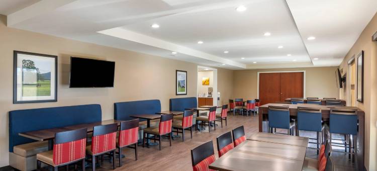 舒适酒店及套房(Comfort Inn & Suites)图片