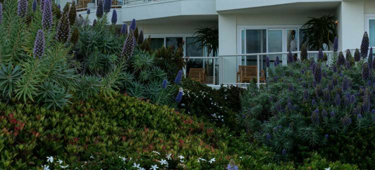 卡萨洛玛海滩酒店(Casa Loma Beach Hotel)图片