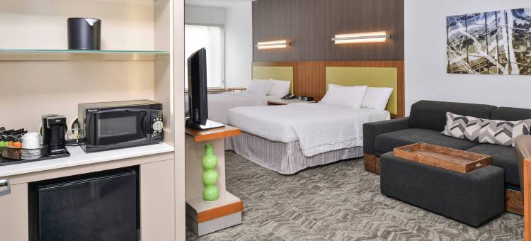 阿什本杜勒斯北SpringHill套房酒店(SpringHill Suites Ashburn Dulles North)图片