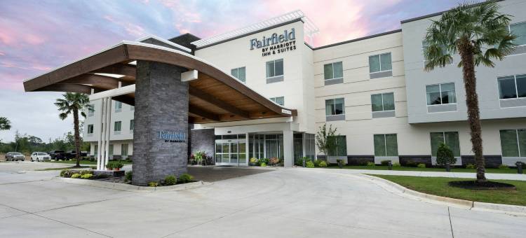 阿卡德尔菲亚万枫酒店及套房(Fairfield Inn & Suites Arkadelphia)图片