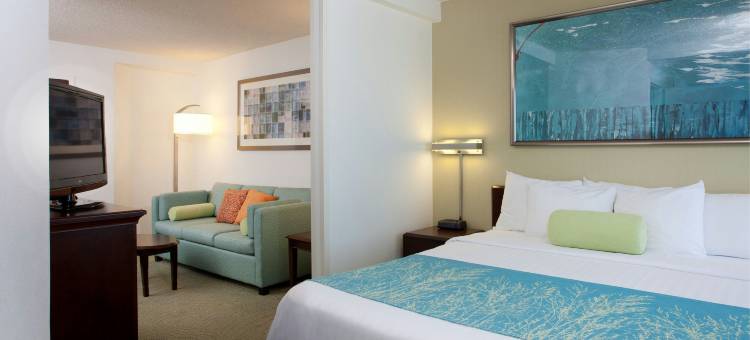 洛杉矶国际机场/曼哈顿海滩万豪SpringHill酒店(SpringHill Suites Los Angeles LAX/Manhattan Beach)图片
