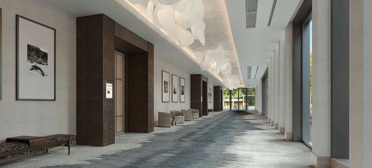 Hilton 杰克逊维尔梅奥诊所(Hilton Jacksonville at Mayo Clinic)图片