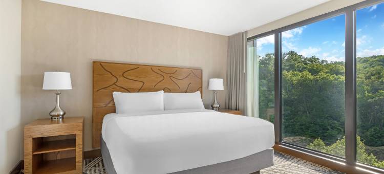 Hilton Vacation Club MountainLoft Gatlinburg图片