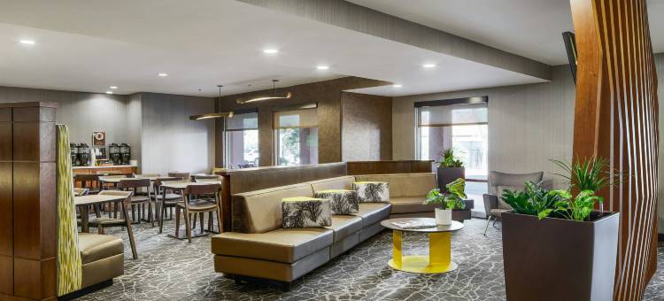 坦佩亚利桑那米尔斯购物中心万豪SpringHill酒店(SpringHill Suites Tempe at Arizona Mills Mall)图片