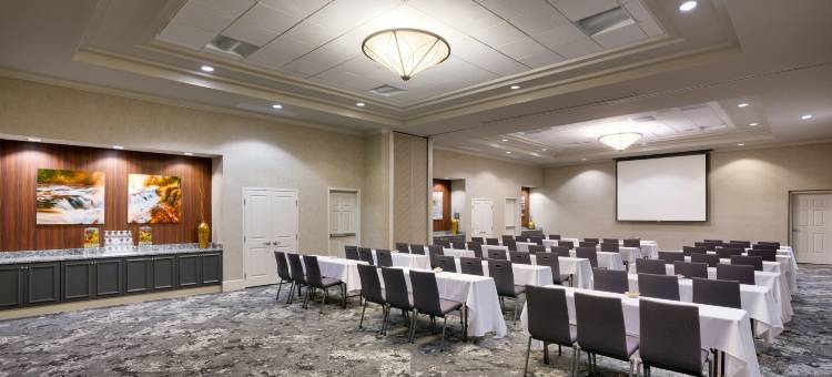 爱达荷福尔斯希尔顿花园酒店(Hilton Garden Inn Idaho Falls)图片