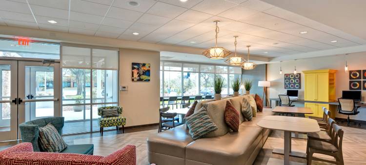 希尔顿惠庭酒店-坦帕USF近布希花园(Home2 Suites by Hilton Tampa - USF/Near Busch Gardens)图片