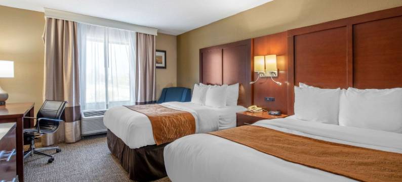 舒适套房酒店(Comfort Inn & Suites)图片