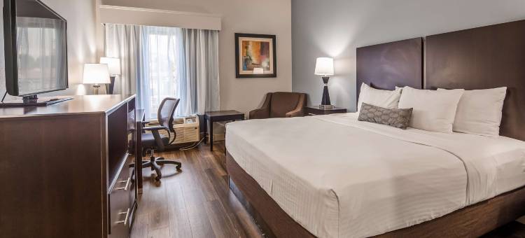 弗洛伦斯贝斯特韦斯特酒店(Best Western Inn Florence)图片