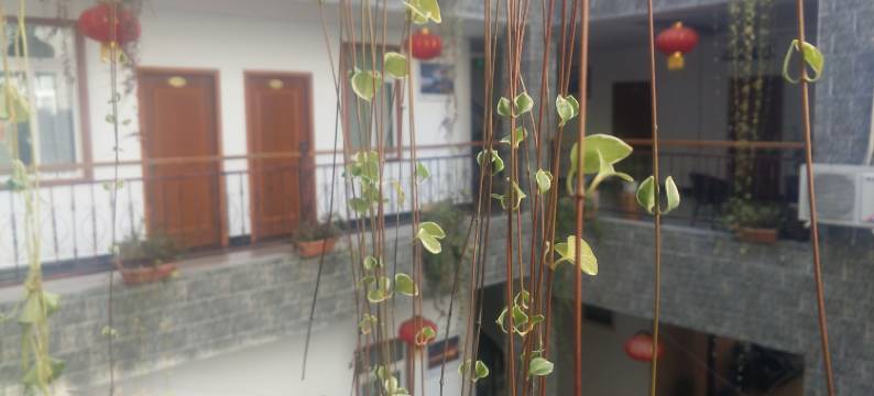 海螺沟沫水河畔精品客栈图片