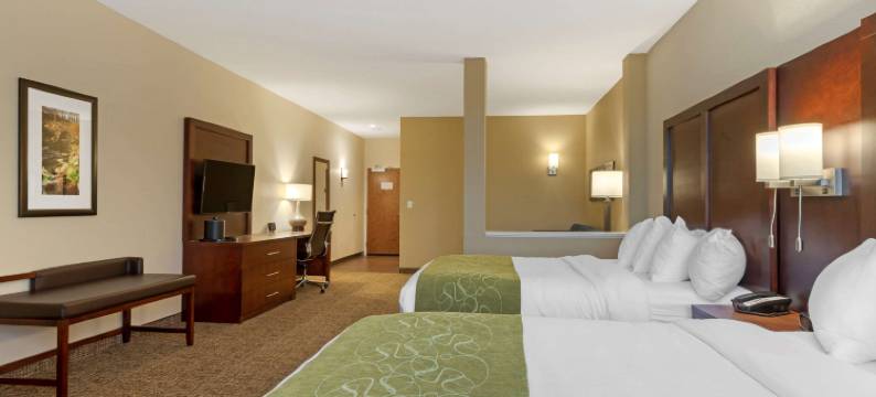 舒适套房酒店(Comfort Suites Greenville South)图片