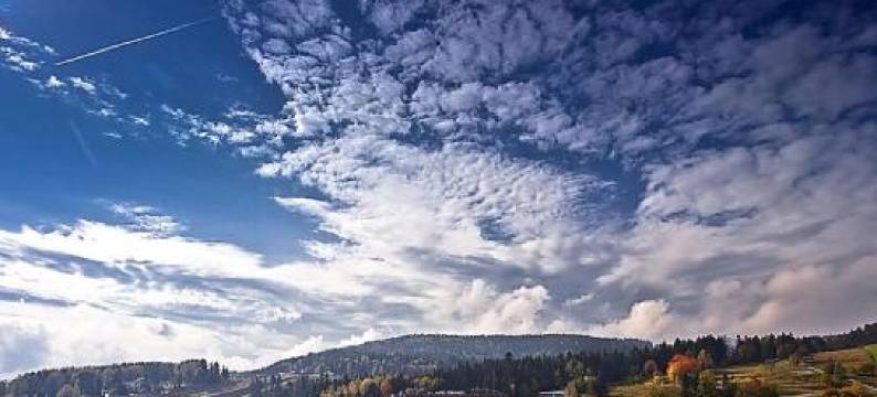 Apartament Na Wspólnej图片