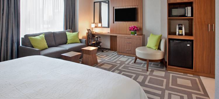 纽约中央公园南中城西区希尔顿花园酒店(Hilton Garden Inn New York Central Park South-Midtown West)图片