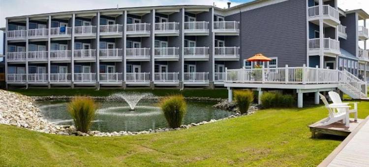 钦科蒂格岛海湾舒适套房度假村(Comfort Suites Chincoteague Island Bayfront Resort)图片