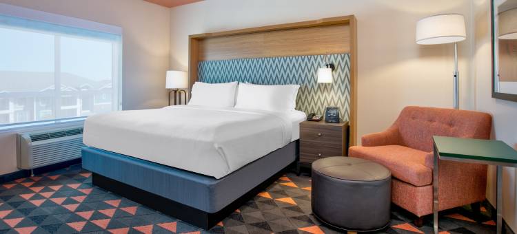 Holiday Inn 达拉斯 - 沃斯堡机场S(Holiday Inn DFW Airport South)图片